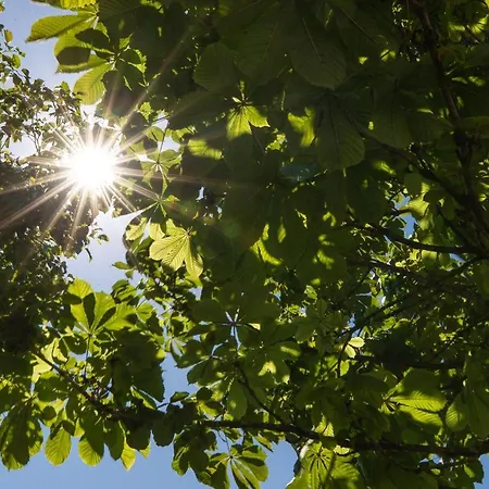 Gallery Townhouse & Porto