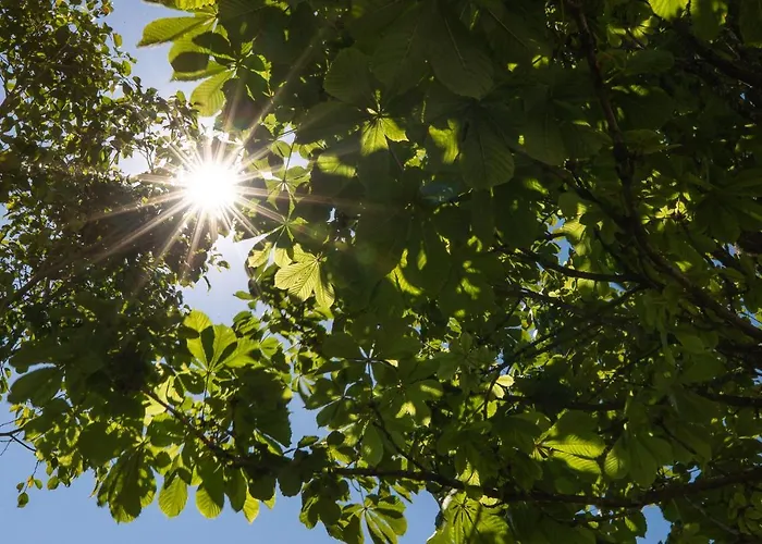 Gallery Townhouse & Porto